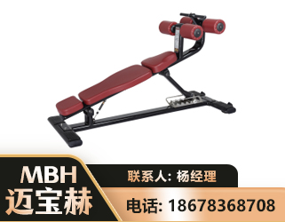 广州可调腹肌板